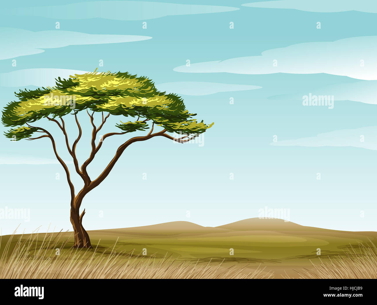 African savannah tree sky wind hi-res stock photography and images - Alamy