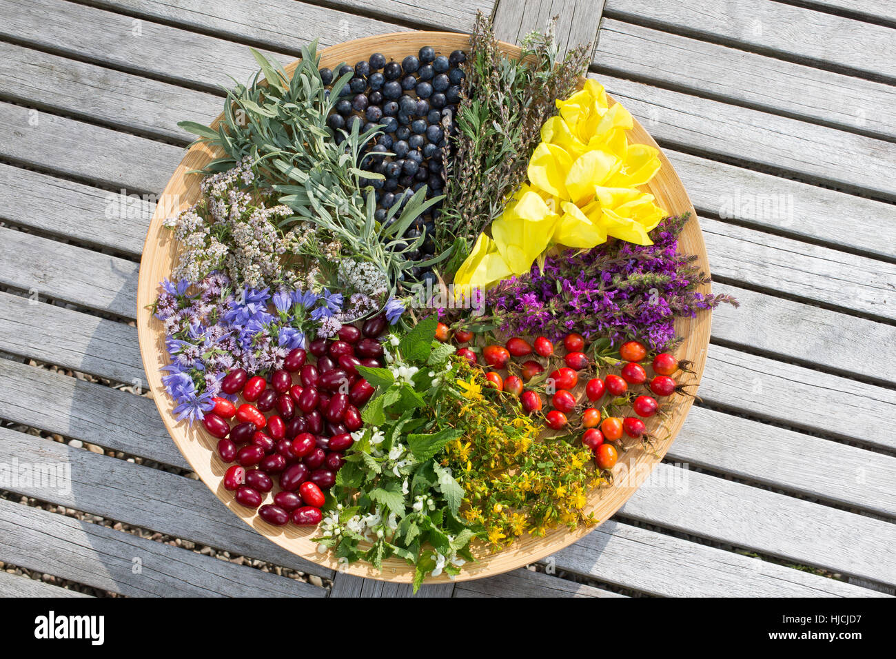 Spätsommer Blütenteller und Früchteteller. Blüten, Blumen, Kräuter, Kräuter sammeln, Kräuterernte, Blüten und Früchte auf einem Teller sortiert, bunt, Stock Photo