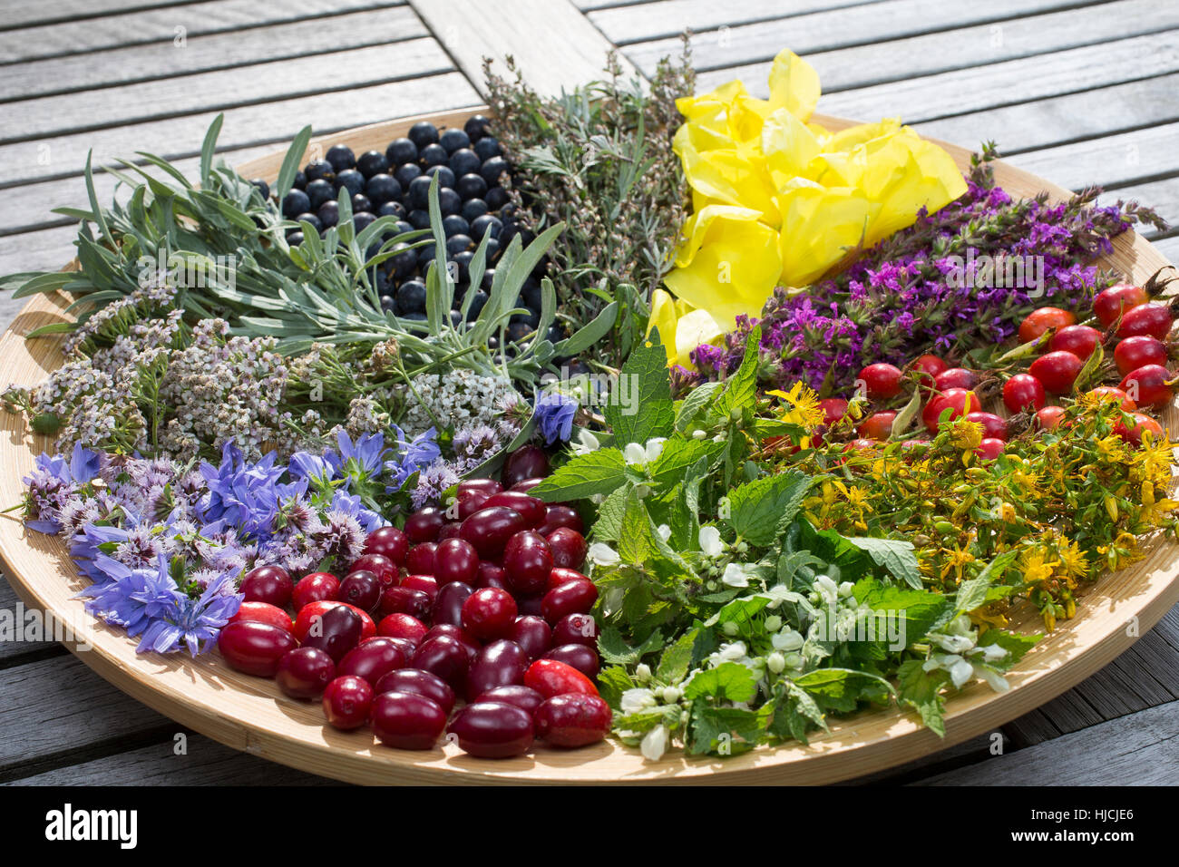 Spätsommer Blütenteller und Früchteteller. Blüten, Blumen, Kräuter, Kräuter sammeln, Kräuterernte, Blüten und Früchte auf einem Teller sortiert, bunt, Stock Photo