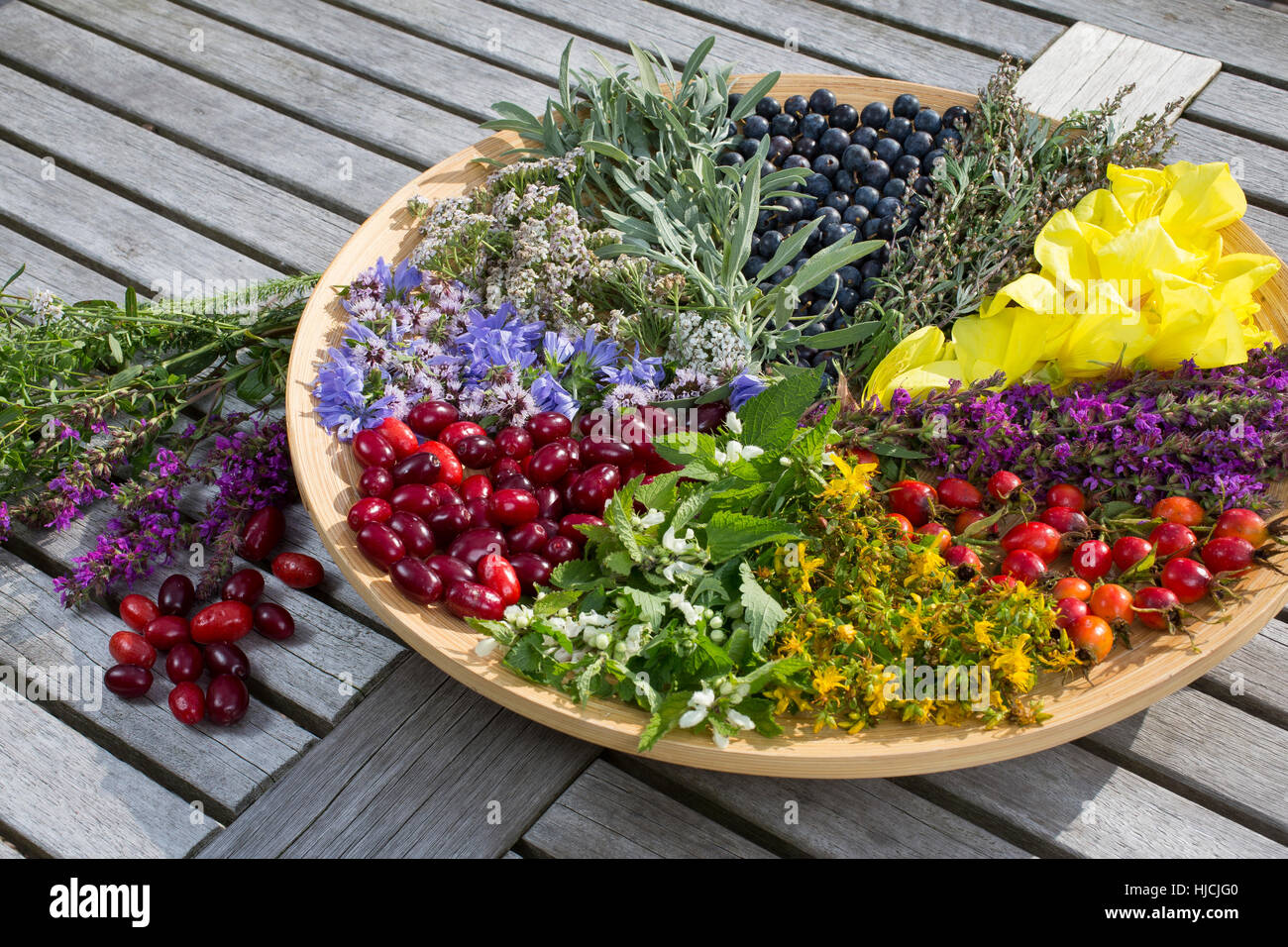 Spätsommer Blütenteller und Früchteteller. Blüten, Blumen, Kräuter, Kräuter sammeln, Kräuterernte, Blüten und Früchte auf einem Teller sortiert, bunt, Stock Photo