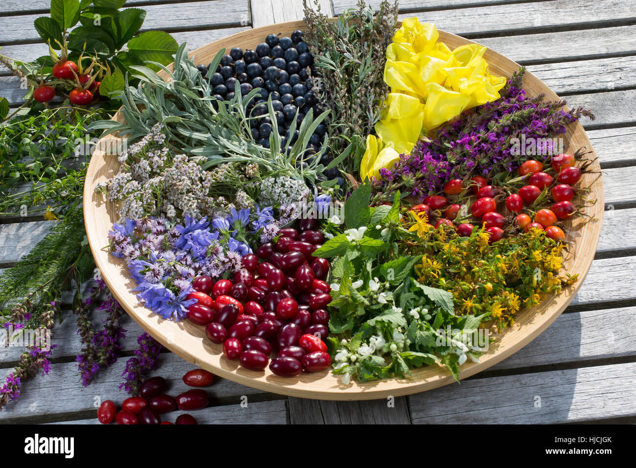 Spätsommer Blütenteller und Früchteteller. Blüten, Blumen, Kräuter, Kräuter sammeln, Kräuterernte, Blüten und Früchte auf einem Teller sortiert, bunt, Stock Photo