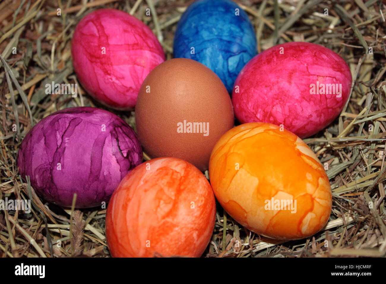 colour, easter, nest, easter egg, Easter eggs, macro, closeup, macro
