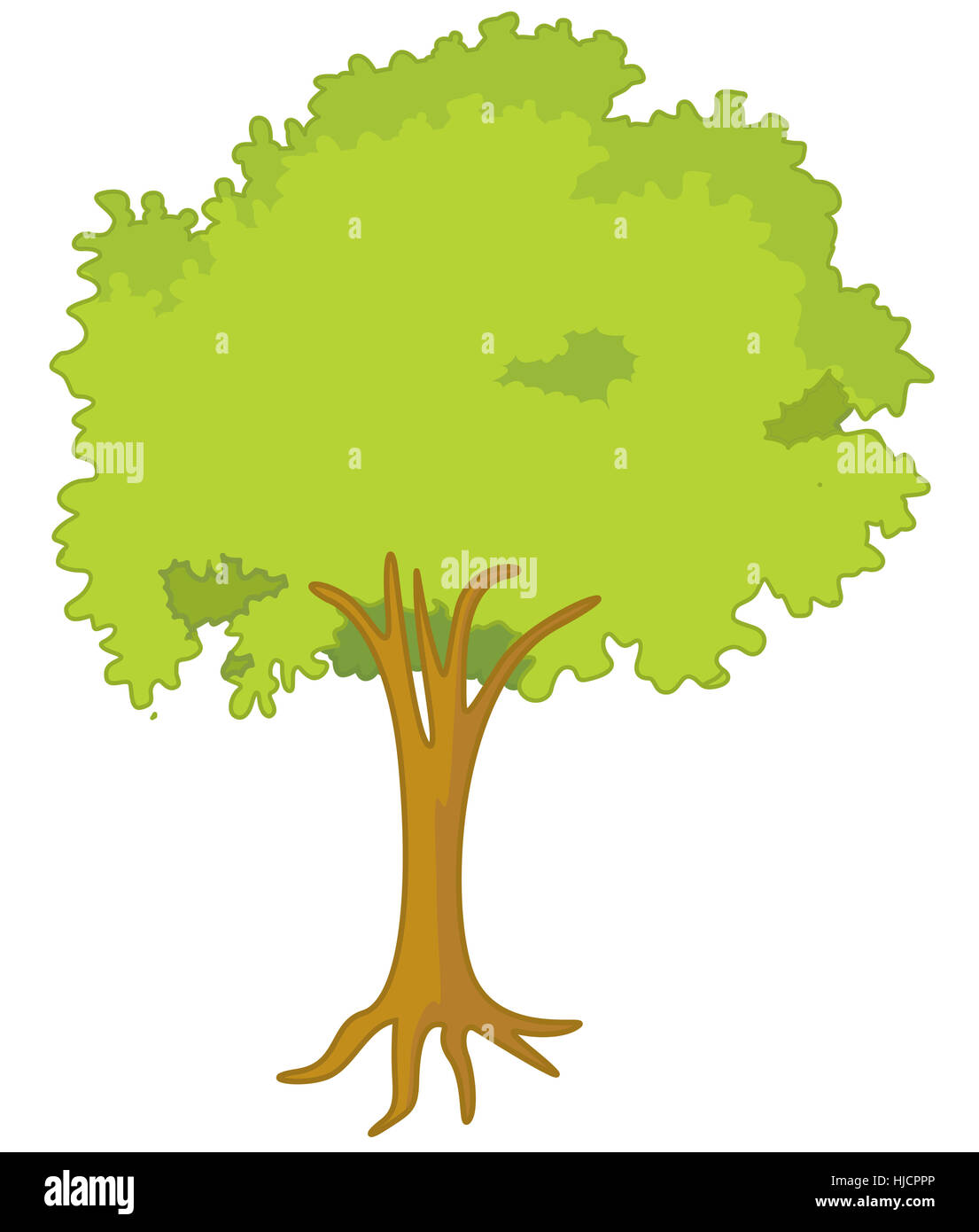 an illustration of a tree with green leaves Stock Photo - Alamy