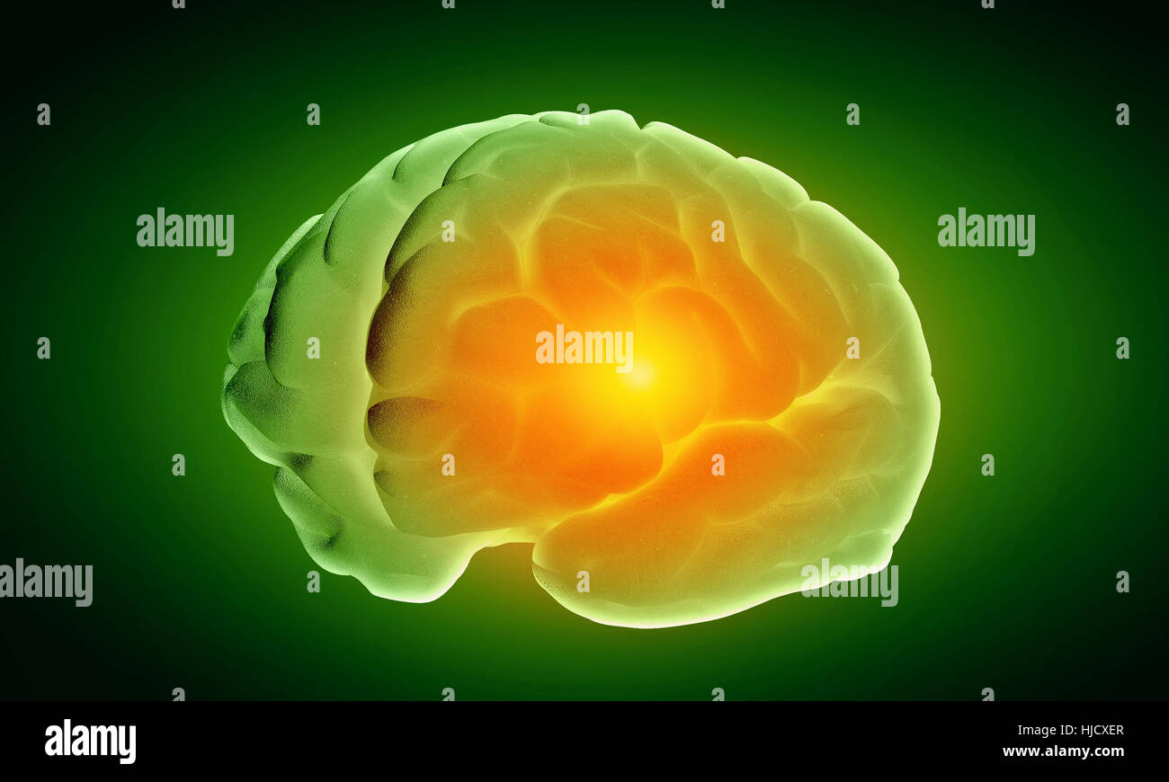 Green Python Brain Green neuron hi-res stock photography and images - Alamy