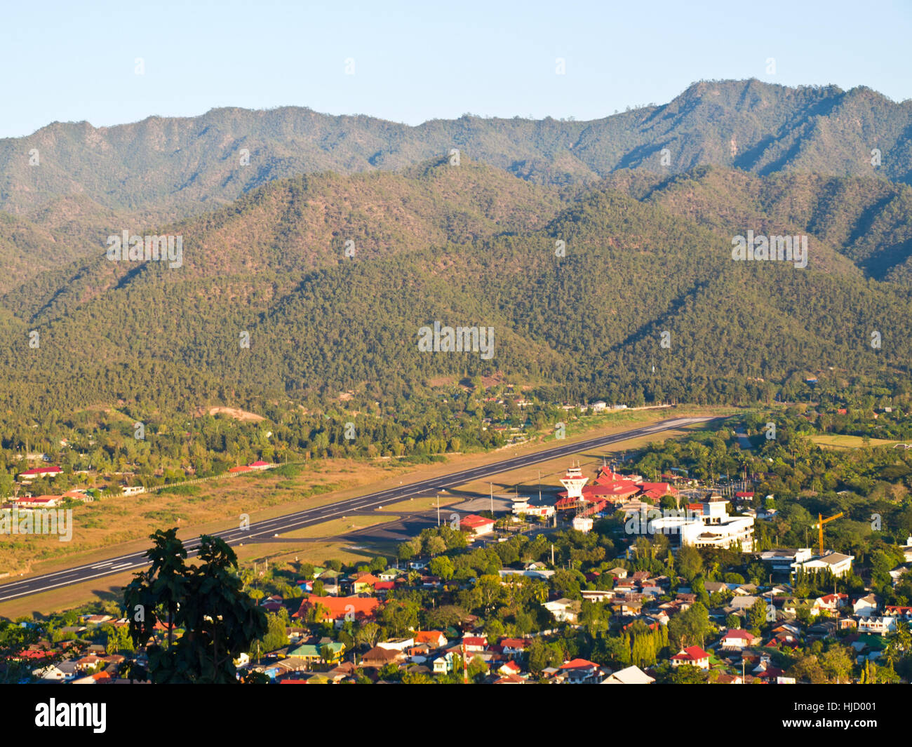 travel, city, town, tree, trees, flight, ground, soil, earth, humus ...