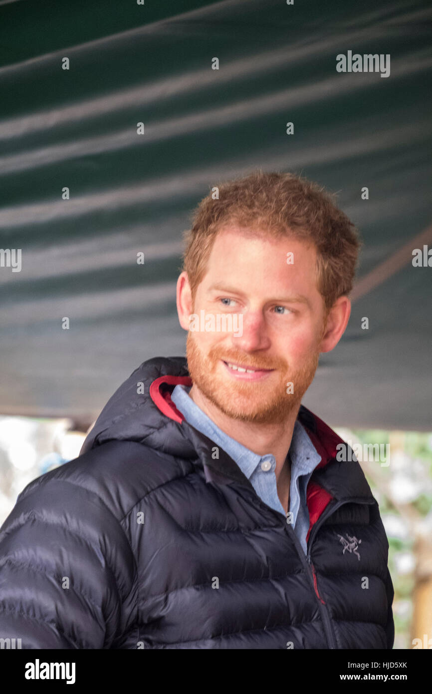 Tedworth House Tidworth. 23rd Jan, 2017.  Prince Harry  visiting Help for Heroes to learn more about the support offered to Veterans and Armed Forces families who are struggling with their mental health. This includes a Hidden Wounds psychological wellbeing service. Credit:  Paul Chambers/Alamy Live News Stock Photo