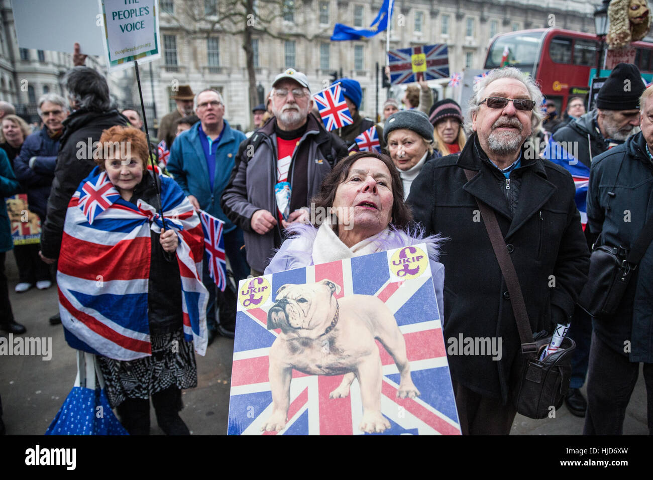 London, UK. 23rd January, 2017. Pro-Brexit campaigners attend a 'Brexit Peaceful Loud and Proud' rally organised by UKIP outside Downing Street. Campaigners intend to ensure that the EU Referendum vote is implemented. Credit: Mark Kerrison/Alamy Live News Stock Photo