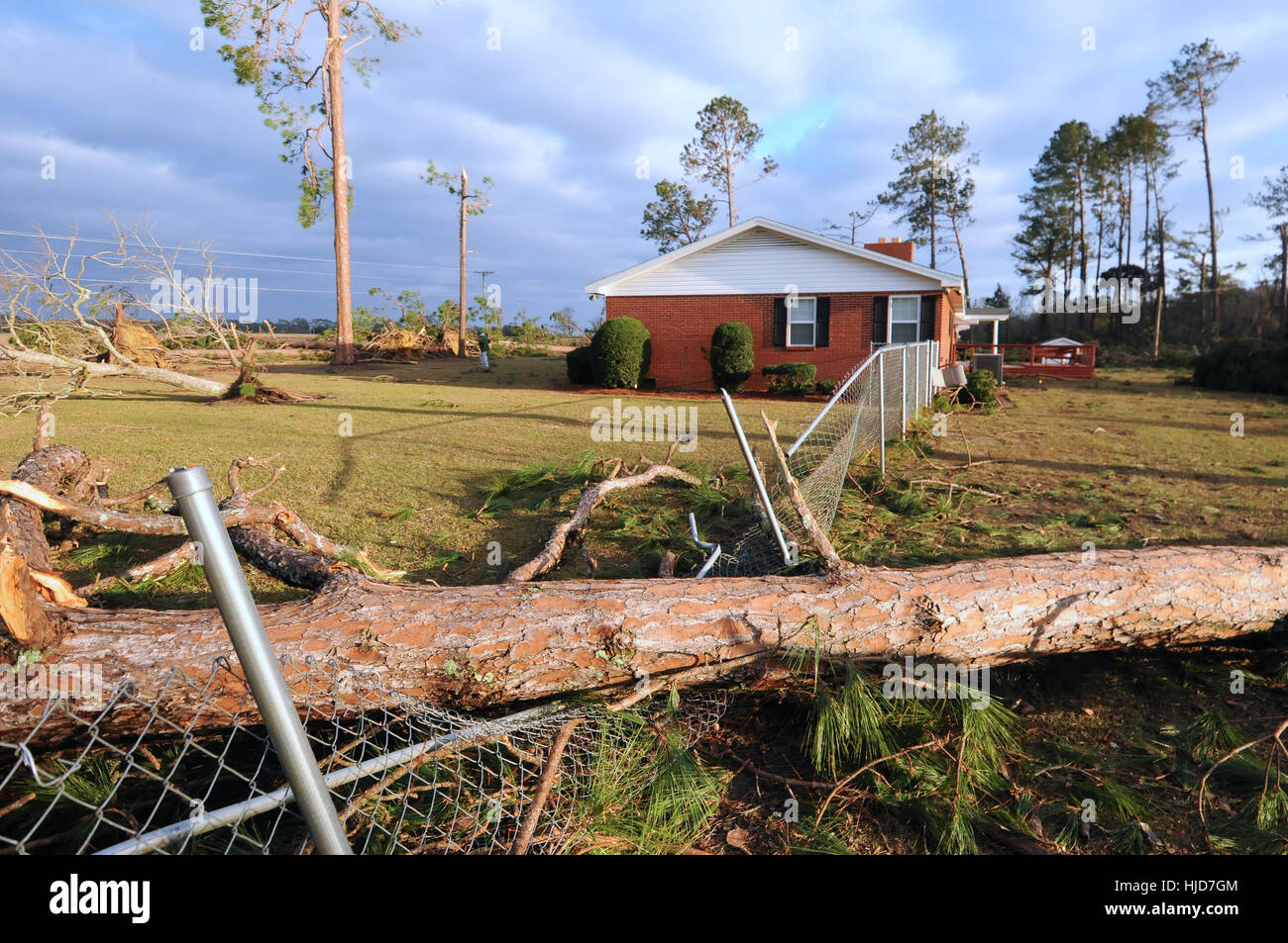 Adel, USA. 23rd Jan, 2017. A fence is seen crushed by a downed tree in