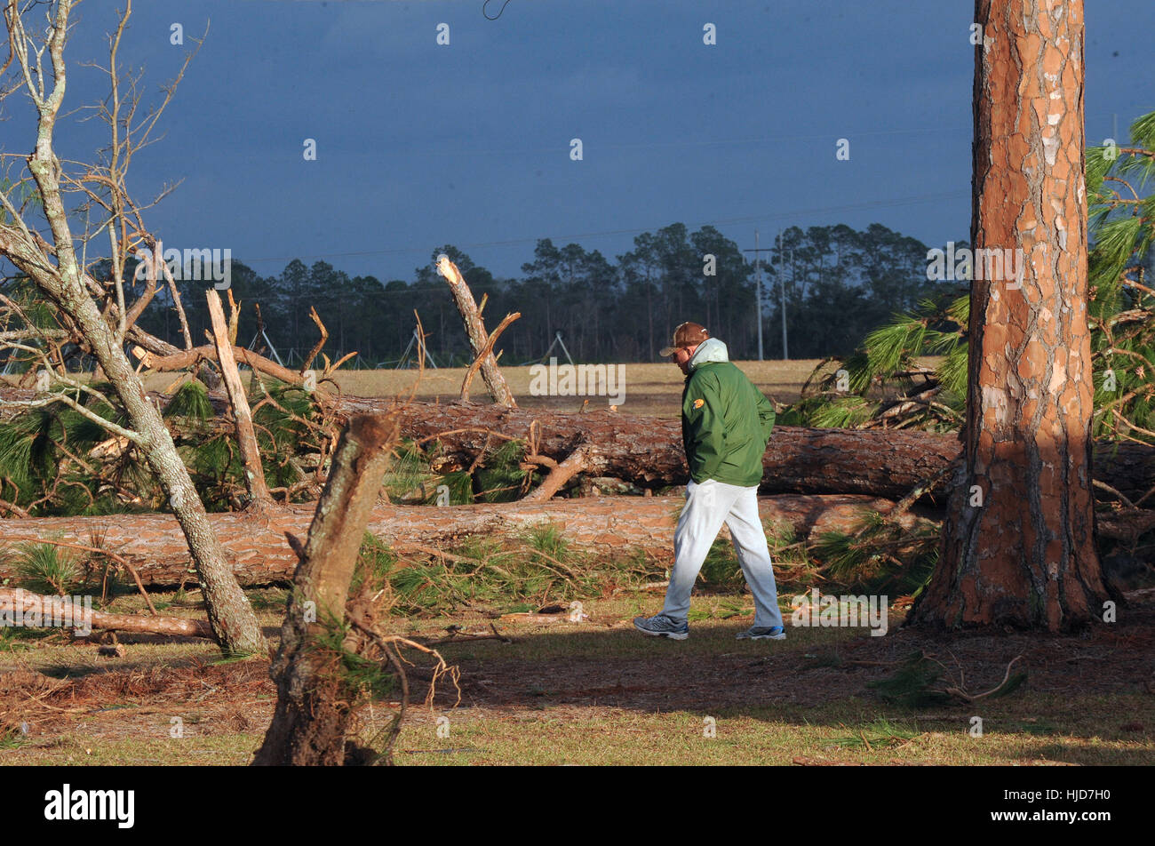 Adel, USA. 23rd Jan, 2017. Keith Harris walks among downed trees that