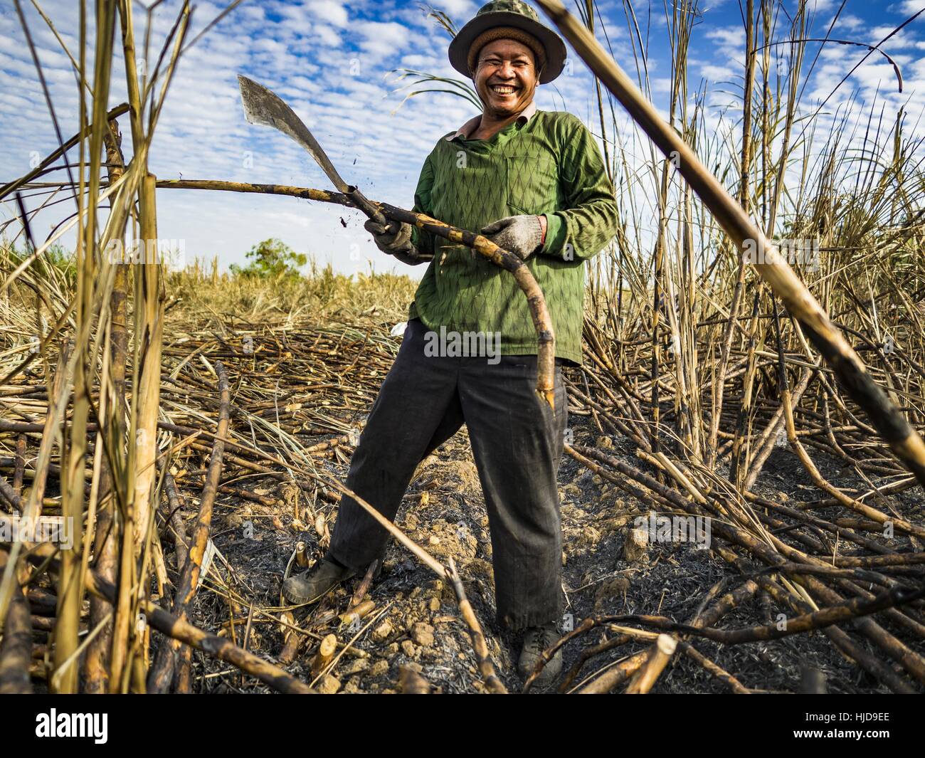 phra-thaen-kanchanaburi-thailand-24th-jan-2017-sugarcane-workers-cut-HJD9EE.jpg