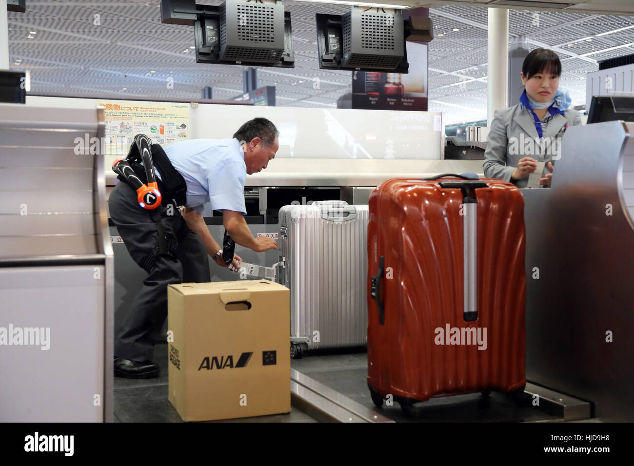 ana carry on luggage