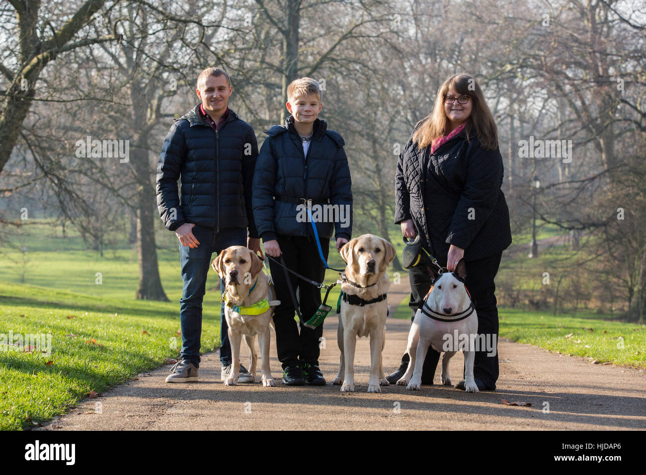 London, UK. 24th Jan, 2017. L-R: Hudson, the Labrador Retriever guide dog with owner Nathan Edge, 22, from North Hykeham, Lincs, Caddie the Labrador Retriever autism awareness dog with owner Joel Sayer, 13, from Newquay, Cornwall and Bowser, the Bull Terrier, with owner Sally Degan, 26, from Scunthorpe, Lincs. The Kennel Club and Eukanuba have selected four inspiring Hero Dogs as the 2017 finalists. They forward to the public vote with the winner being announced at Crufts. Charlie, the Military Dog with the British Army did not attend the photocall. Credit: Vibrant Pictures/Alamy Live News Stock Photo