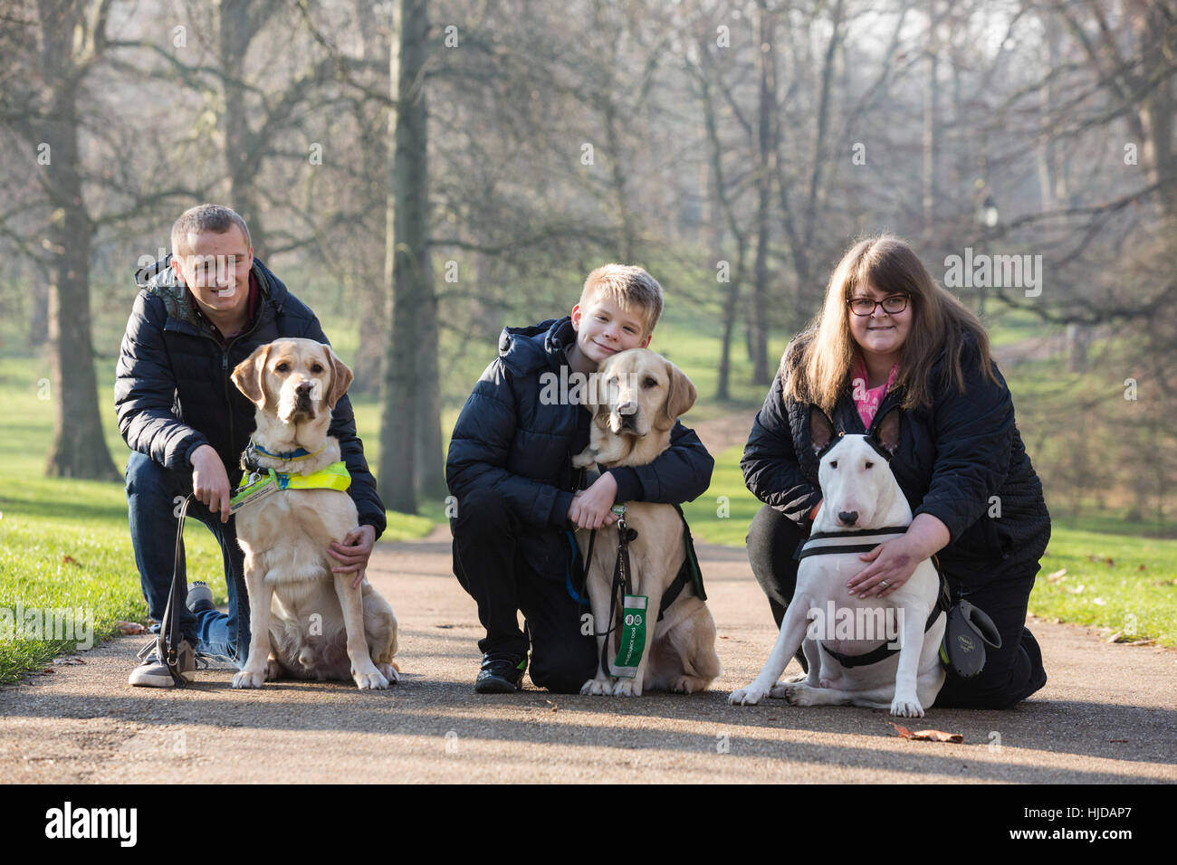 London, UK. 24th Jan, 2017. L-R: Hudson, the Labrador Retriever guide dog with owner Nathan Edge, 22, from North Hykeham, Lincs, Caddie the Labrador Retriever autism awareness dog with owner Joel Sayer, 13, from Newquay, Cornwall and Bowser, the Bull Terrier, with owner Sally Degan, 26, from Scunthorpe, Lincs. The Kennel Club and Eukanuba have selected four inspiring Hero Dogs as the 2017 finalists. They forward to the public vote with the winner being announced at Crufts. Charlie, the Military Dog with the British Army did not attend the photocall. Credit: Vibrant Pictures/Alamy Live News Stock Photo