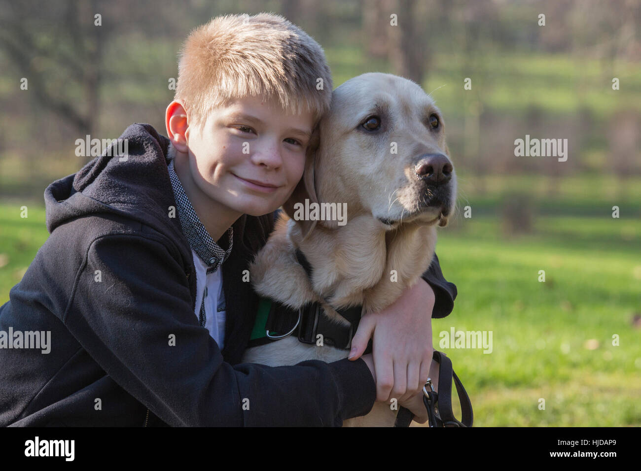London, UK. 24th Jan, 2017. Caddie the Labrador Retriever autism awareness dog with owner Joel Sayer, 13, from Newquay, Cornwall. The Kennel Club and Eukanuba have selected four inspiring Hero Dogs as the 2017 finalists. They forward to the public vote with the winner being announced at Crufts. Credit: Vibrant Pictures/Alamy Live News Stock Photo
