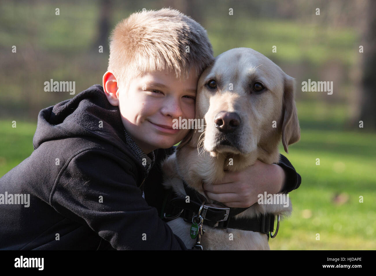 London, UK. 24th Jan, 2017. Caddie the Labrador Retriever autism awareness dog with owner Joel Sayer, 13, from Newquay, Cornwall. The Kennel Club and Eukanuba have selected four inspiring Hero Dogs as the 2017 finalists. They forward to the public vote with the winner being announced at Crufts. Credit: Vibrant Pictures/Alamy Live News Stock Photo