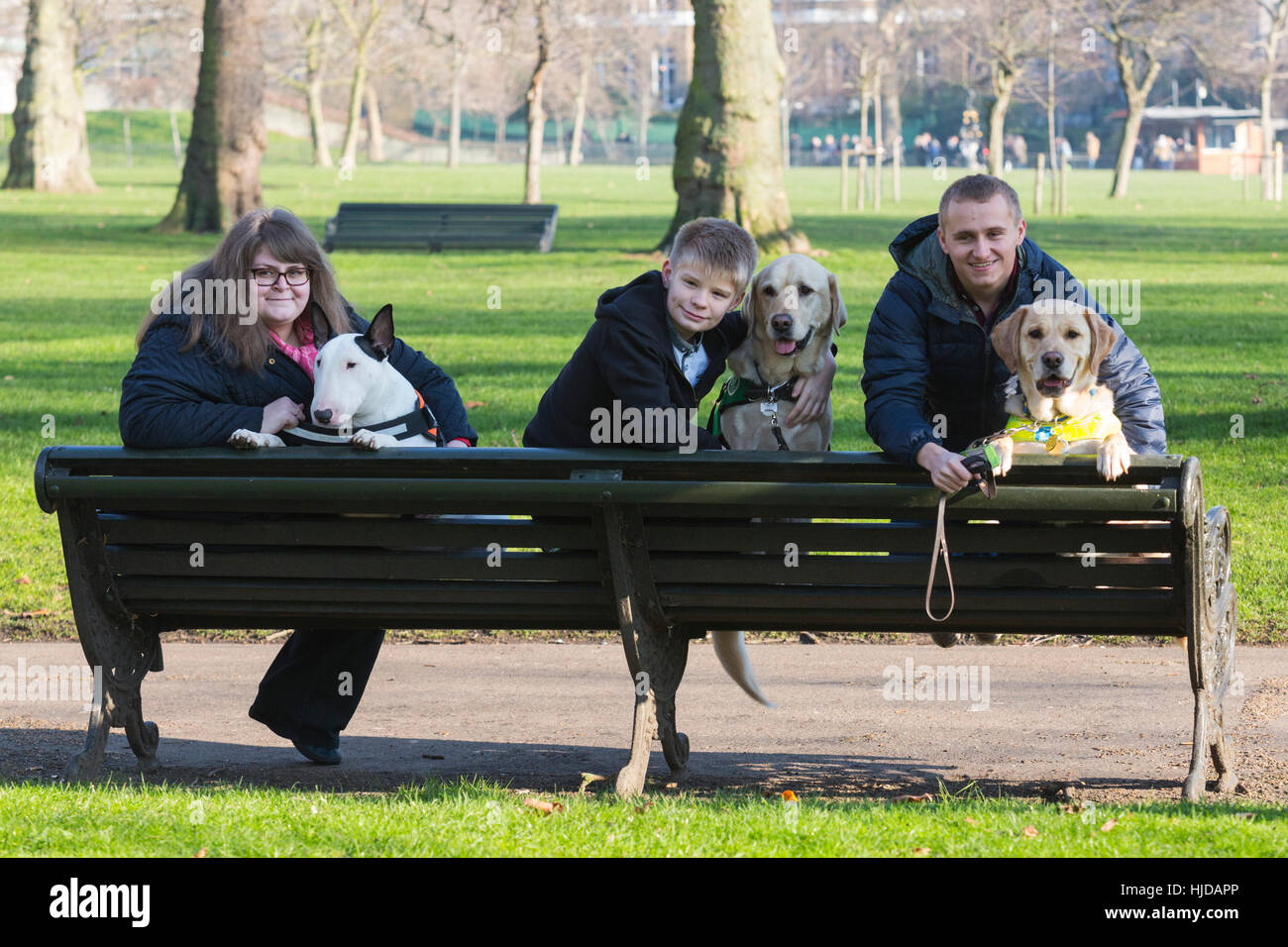 London, UK. 24th Jan, 2017. L-R: Bowser, the Bull Terrier, with owner Sally Degan, 26, from Scunthorpe, Lincs, Caddie the Labrador Retriever autism awareness dog with owner Joel Sayer, 13, from Newquay, Cornwall, Hudson, the Labrador Retriever guide dog with owner Nathan Edge, 22, from North Hykeham, Lincs. The Kennel Club and Eukanuba have selected four inspiring Hero Dogs as the 2017 finalists. They forward to the public vote with the winner being announced at Crufts. Charlie, the Military Dog with the British Army did not attend the photocall. Credit: Vibrant Pictures/Alamy Live News Stock Photo
