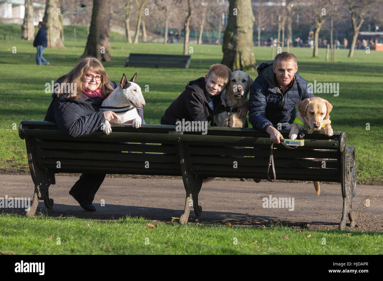 London, UK. 24th Jan, 2017. L-R: Bowser, the Bull Terrier, with owner Sally Degan, 26, from Scunthorpe, Lincs, Caddie the Labrador Retriever autism awareness dog with owner Joel Sayer, 13, from Newquay, Cornwall, Hudson, the Labrador Retriever guide dog with owner Nathan Edge, 22, from North Hykeham, Lincs. The Kennel Club and Eukanuba have selected four inspiring Hero Dogs as the 2017 finalists. They forward to the public vote with the winner being announced at Crufts. Charlie, the Military Dog with the British Army did not attend the photocall. Credit: Vibrant Pictures/Alamy Live News Stock Photo