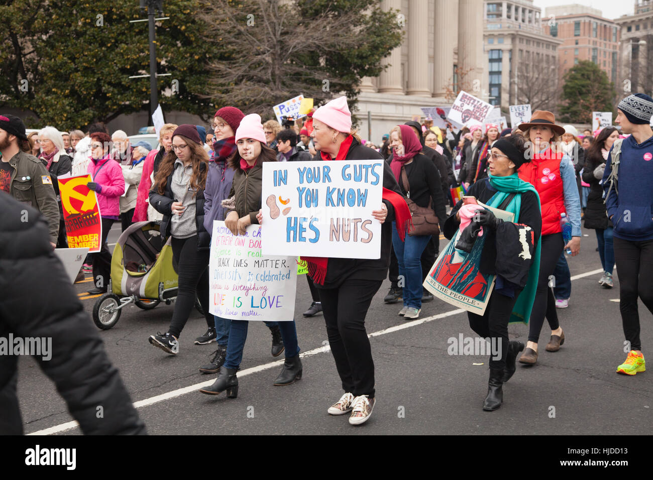 Washington, USA. January 21st, 2017. Women's March on Washington, DC: Women carrying signs protested President Trump's positions on women's and other human rights. Credit: Dasha Rosato/Alamy Live News Stock Photo