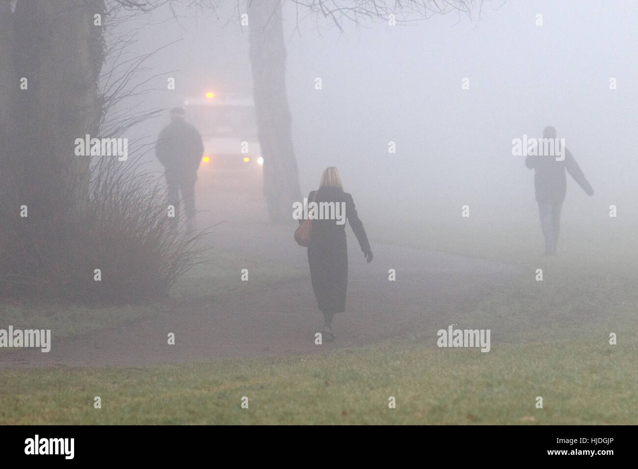 Chippenham, UK. 25th Jan, 2017. As foggy weather continues to affect many parts of the UK, people are pictured walking in a park in Chippenham, Wiltshire. Credit: lynchpics/Alamy Live News Stock Photo