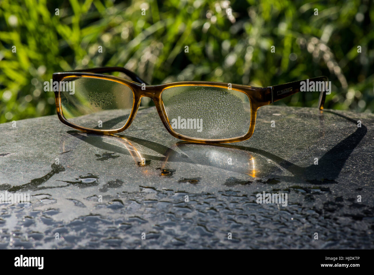A pair of glasses covered in morning dew and  left behind by a visitor to the Wilstone Reservoir Nature Reserve, Hertfordshire. Stock Photo