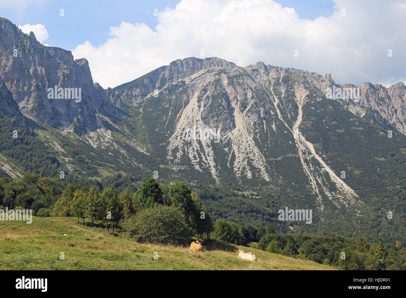 landscape of italian mountains called Venetian Prealps in the province of Vicenza in Italy Stock Photo