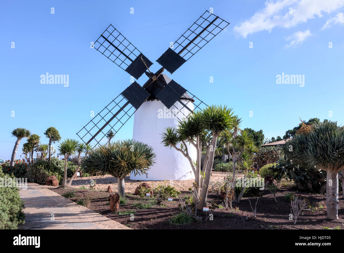 Molino de Antigua, Antigua, Fuerteventura, Canary Islands, Spain Stock Photo