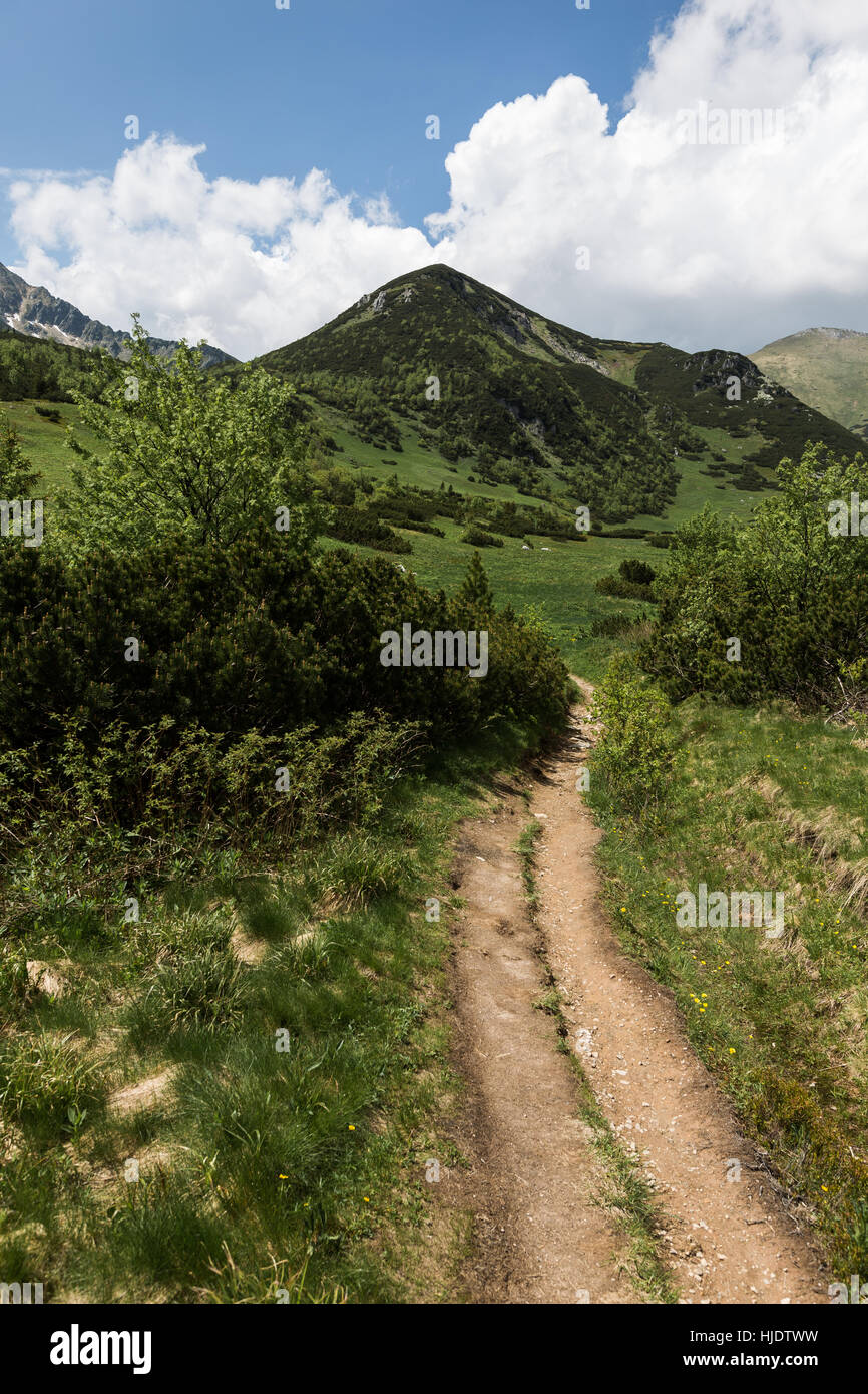 S-curved Road to the mountains and hills, blue sky,white clouds, national park  High Tatras, Slovakia Stock Photo
