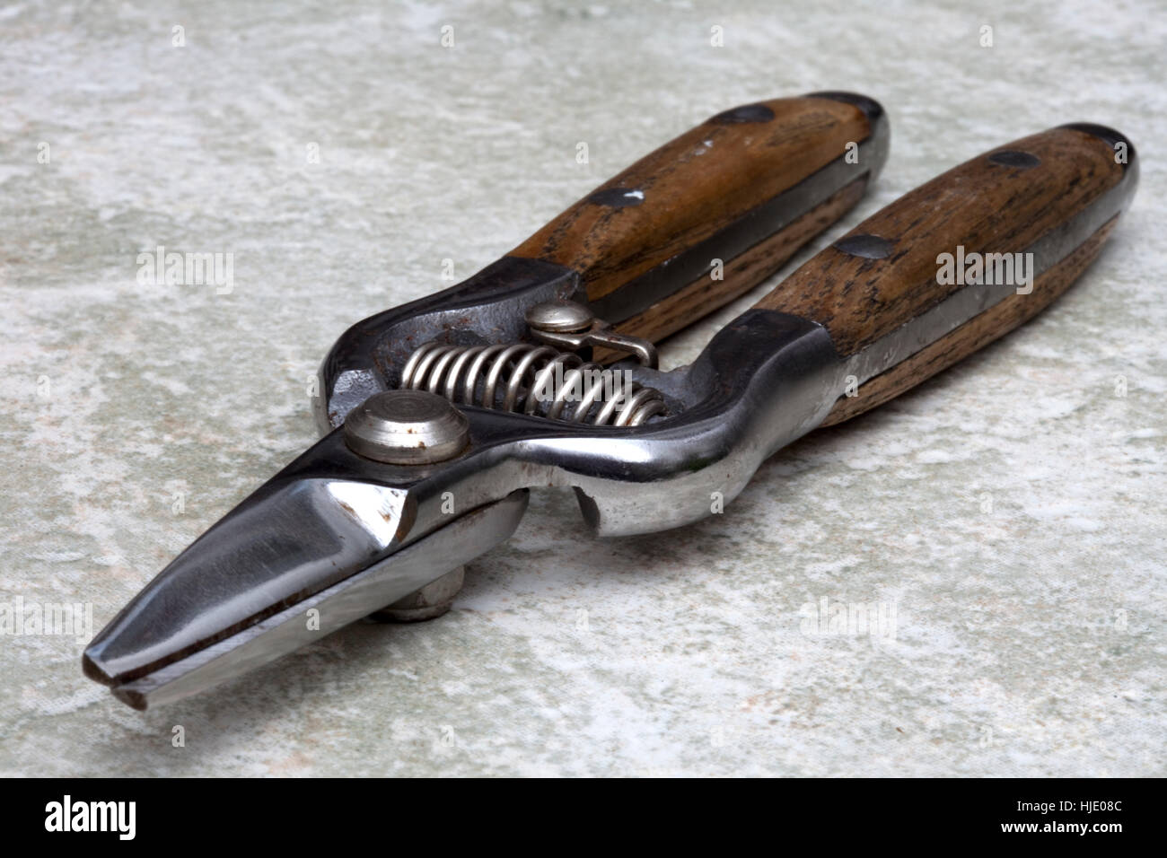 Stainless Steel Secateurs Stock Photo