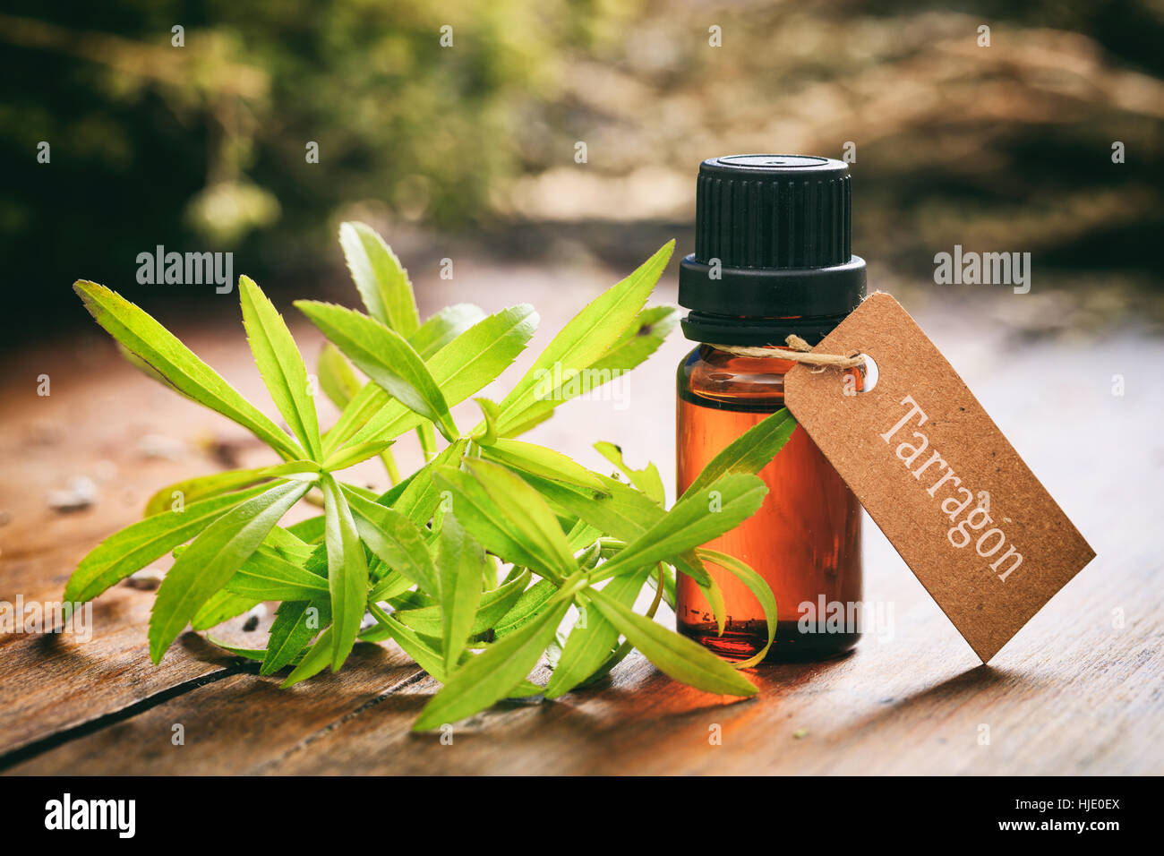 Fresh tarragon twig and oil on wooden background Stock Photo