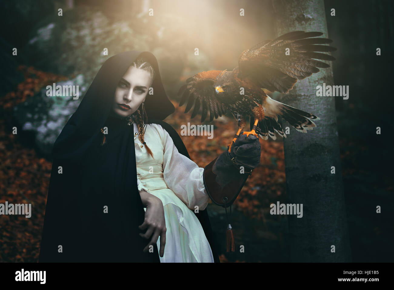 Dark woman with black cloak and hawk. Cinematic colors Stock Photo