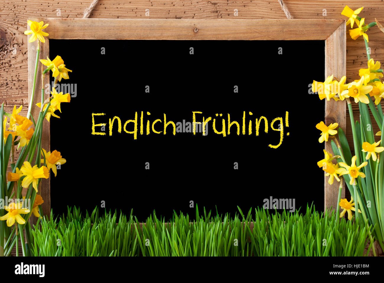 Flower Narcissus, Chalkboard, Endlich Fruehling Means Hello Spring Stock Photo