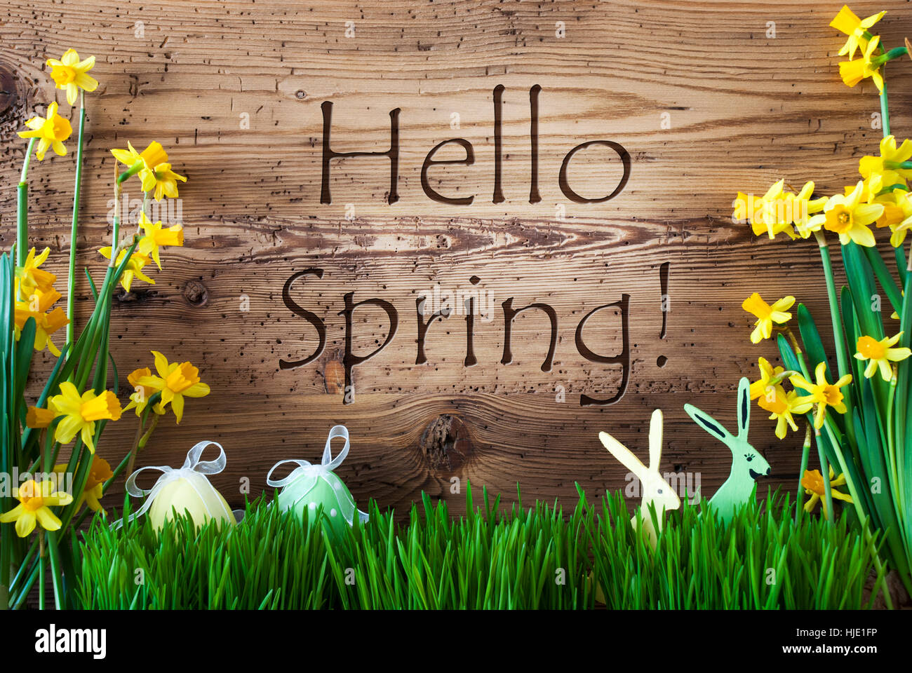 Easter Decoration, Gras, Text Hello Spring Stock Photo