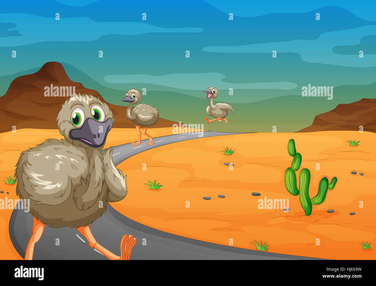 illustration of three emu passing on road Stock Photo