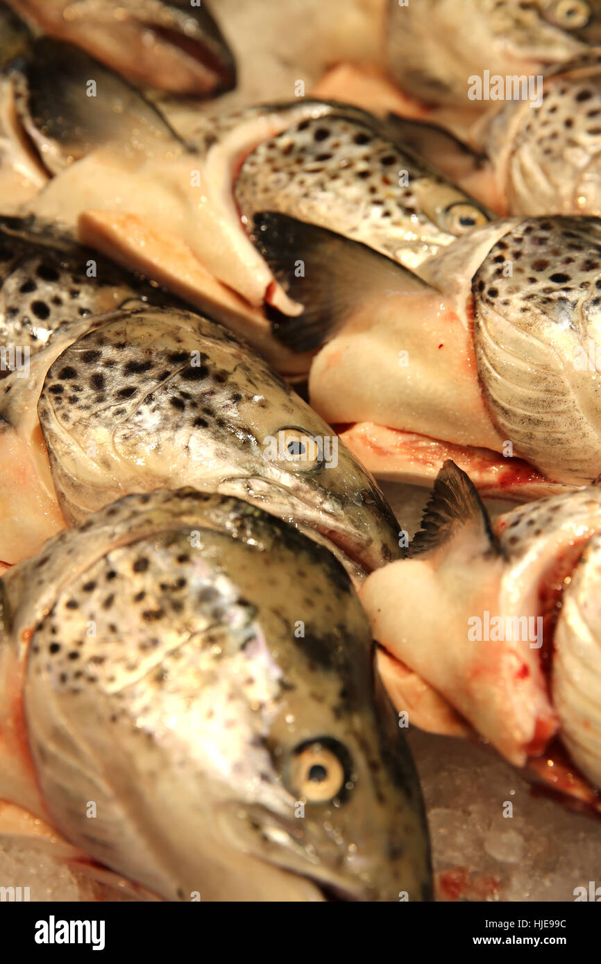 fish heads. fish market in sydney Stock Photo