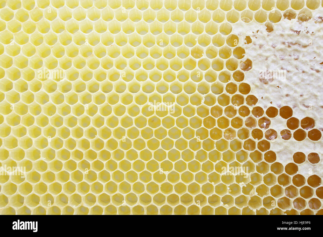 beehive, honeycombs, honeycomb, insect, bee, food, aliment, health, garden, Stock Photo