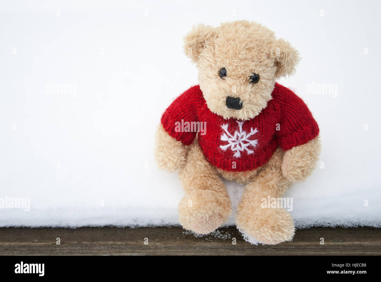 Winter Bear Cold Wool Small Tiny Little Short Toy Frost Teddy Teddy Stock Photo Alamy