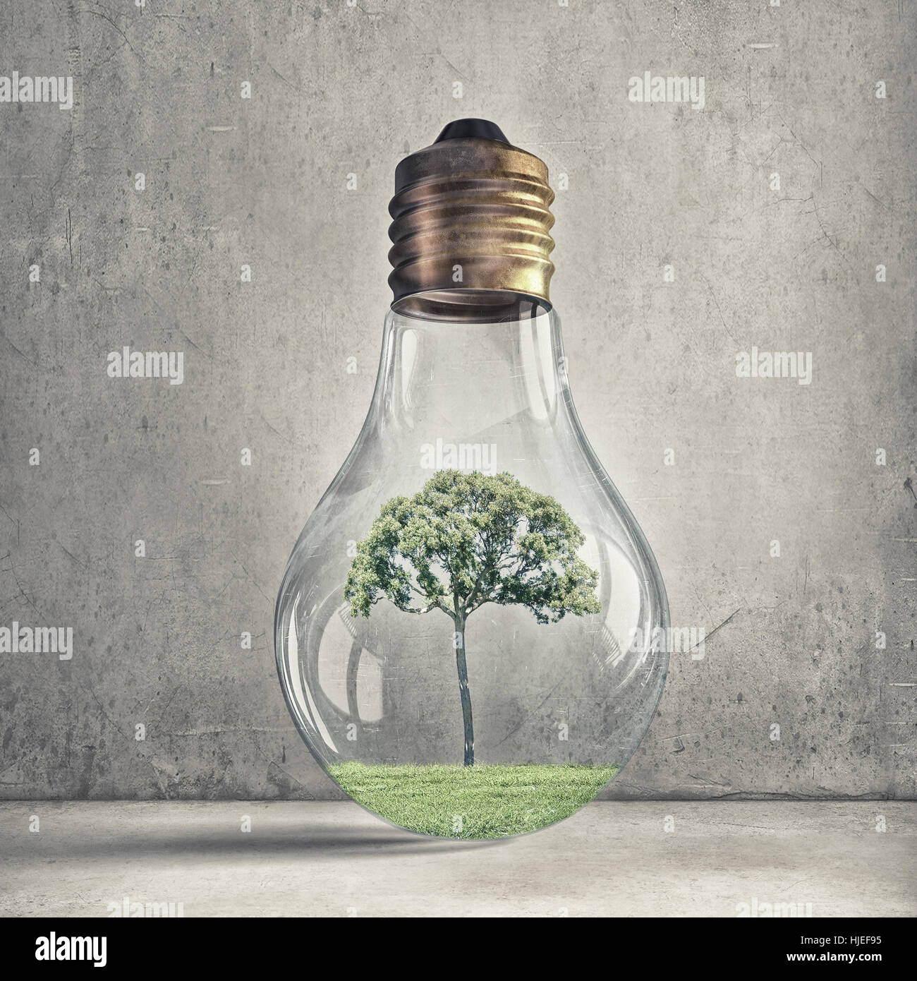 Growing tree inside light bulb hi-res stock photography and images - Alamy