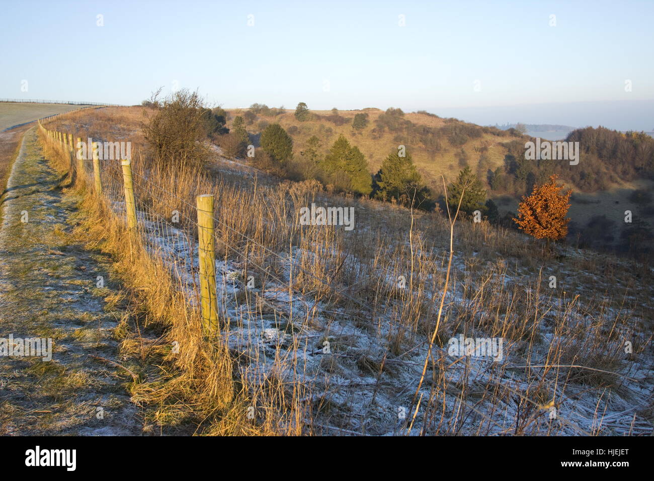 The Gallops above Kingclere on a frosty Winter morning Stock Photo