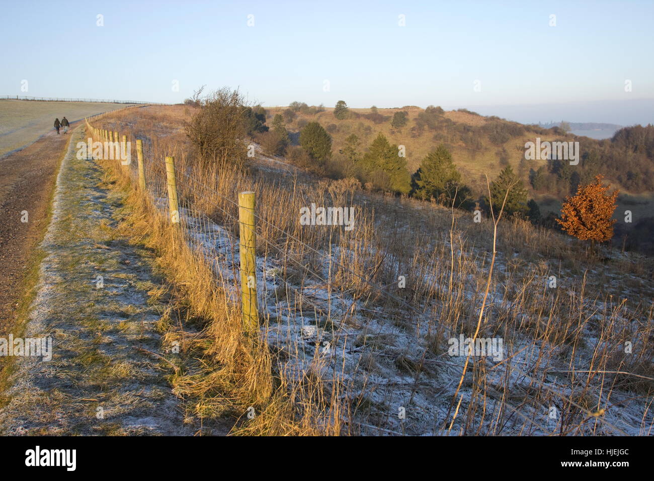 Walking on The Gallops above Kingclere on a frosty Winter morning Stock Photo