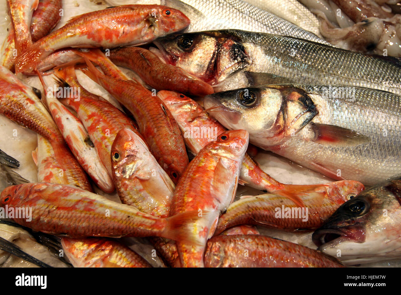 fish, fishing, fish-market, weekly market, marketplace, flea market, barbel, Stock Photo