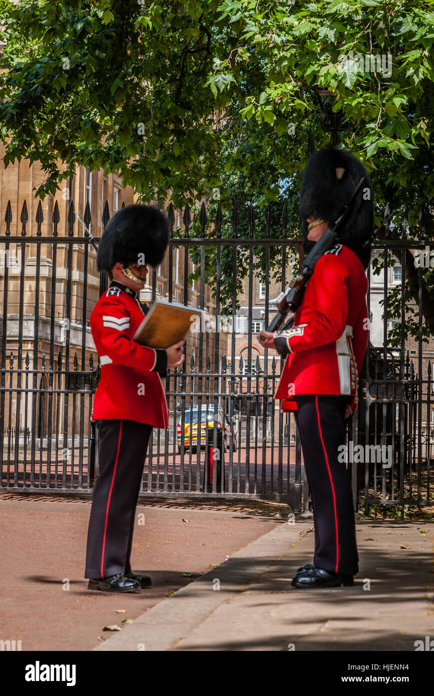 Welsh Guards, Clarence House, London, England, UK Stock Photo