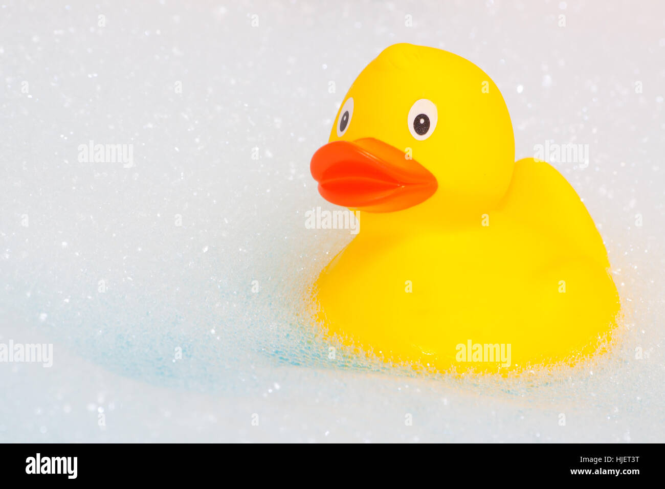 toy, plastic, synthetic material, bathwater, lather, bath foam, rubber duck, Stock Photo
