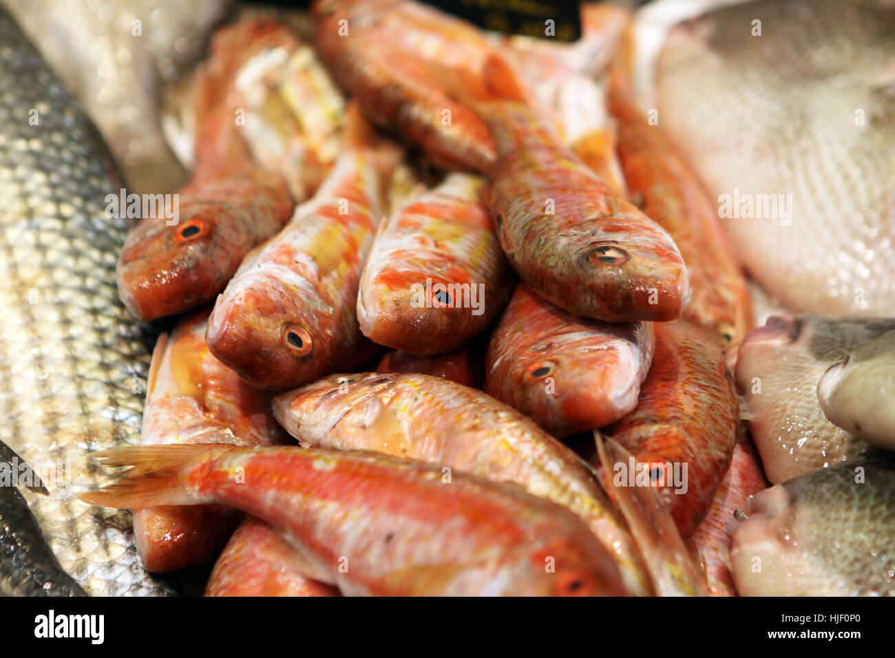 fish, fish-market, weekly market, marketplace, flea market, food, aliment, Stock Photo