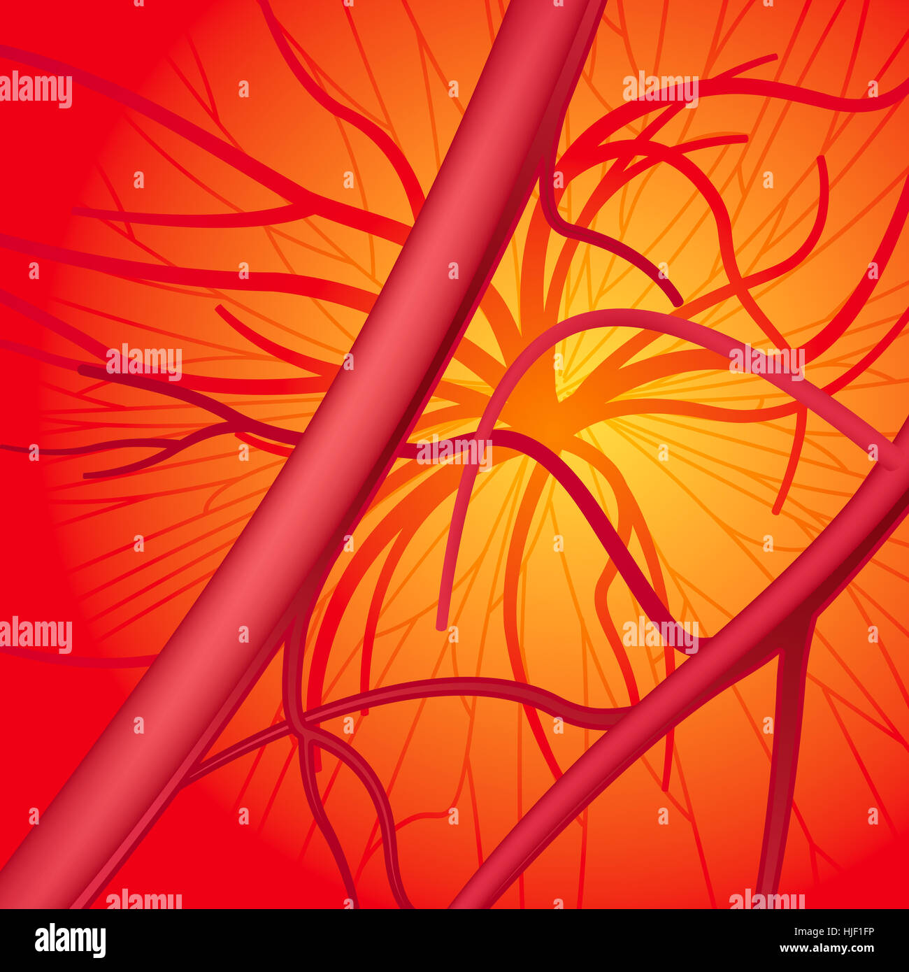 inside, blood, drawing, photo, picture, image, copy, deduction, vessels