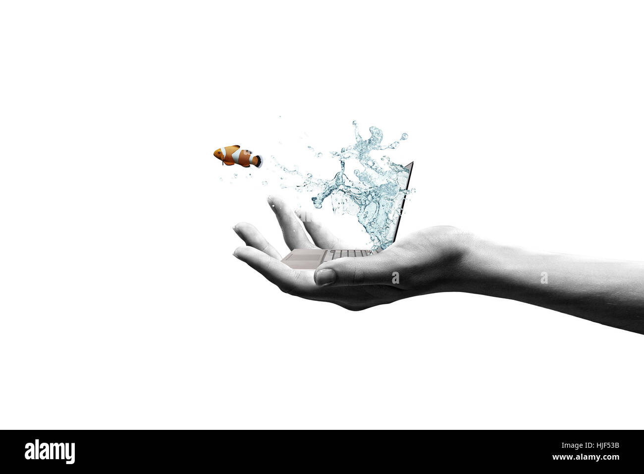Close up of laptop with fish jumping out from screen Stock Photo - Alamy