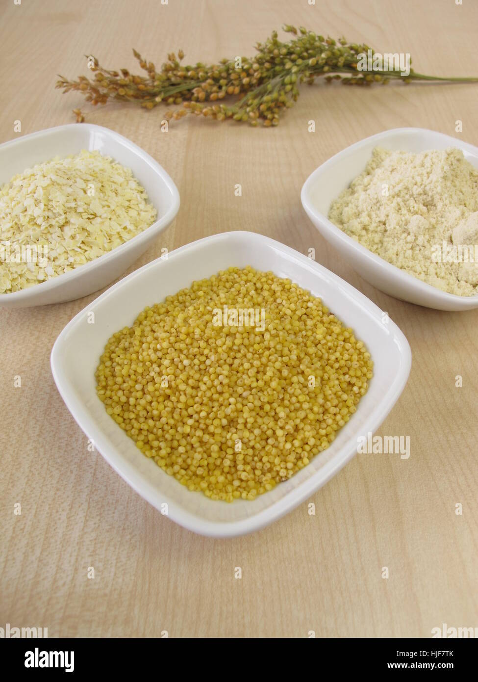 millet grain,millet flakes and millet flour Stock Photo Alamy