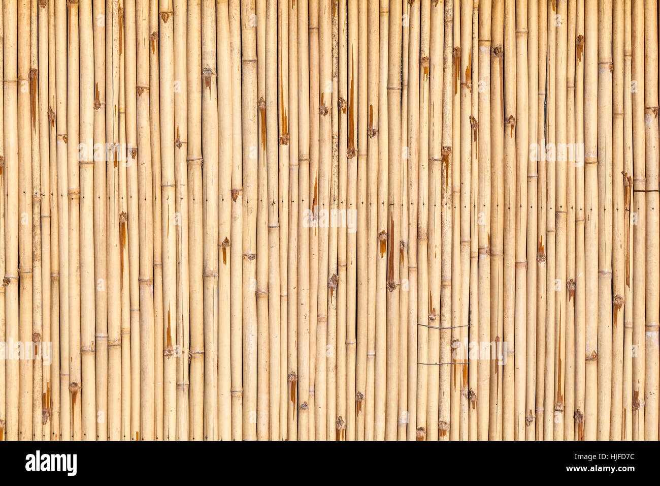 asia, bamboo, abstract, japan, pattern, harmonic, bark, backdrop ...