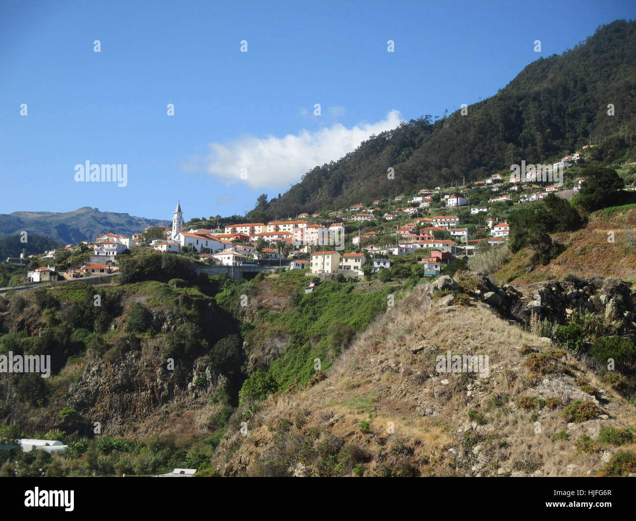 Madeira Stock Photo