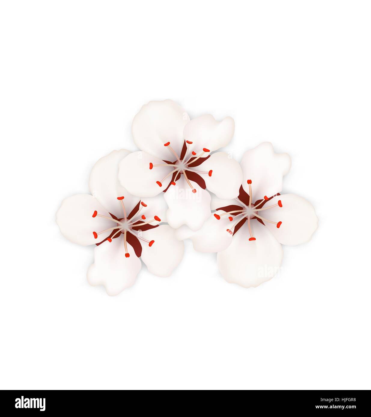 Beautiful spring background blooming Stock Vector Images - Alamy