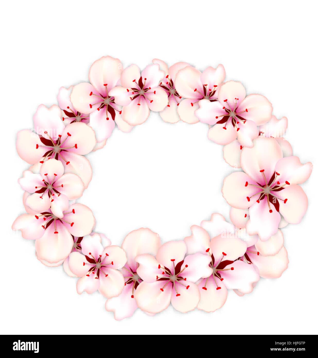 Round frame template blooming sakura pink flowers Stock Vector Image ...